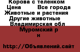 Корова с теленком › Цена ­ 69 - Все города Животные и растения » Другие животные   . Владимирская обл.,Муромский р-н